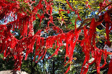 宫崎英高：新武器和法术是《艾尔登法环：黄金树之影》DLC主要卖点